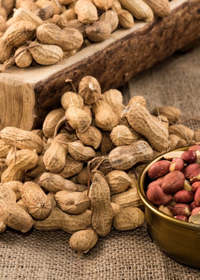 أضرار الفول السوداني على الصحة