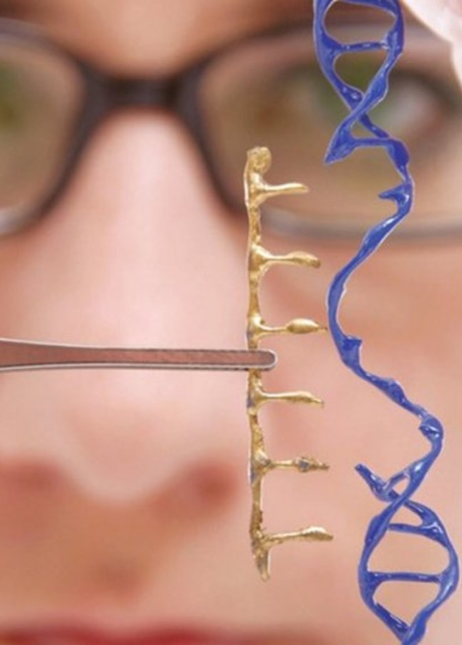  الإمارات تطور علاج لفيروس كورونا بالخلايا الجذعية