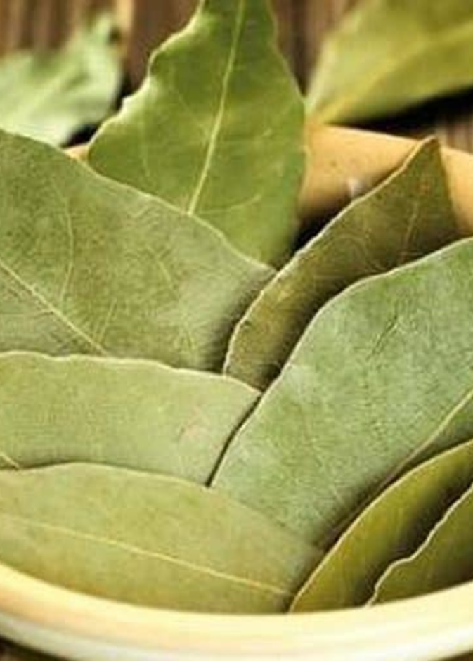  فوائد ورق الغار للصحة