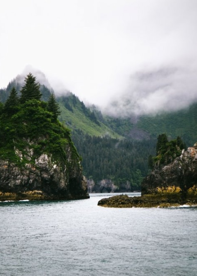 مضايق كيناي Kenai Fjords، الولايات المتحدة الأمريكية بواسطة Daniel H. Tong