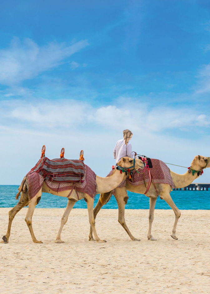 افضل 5 مدن متعددة الثقافات في العالم