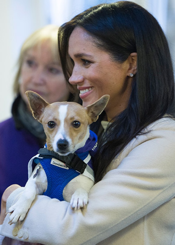 ميغان ماركل