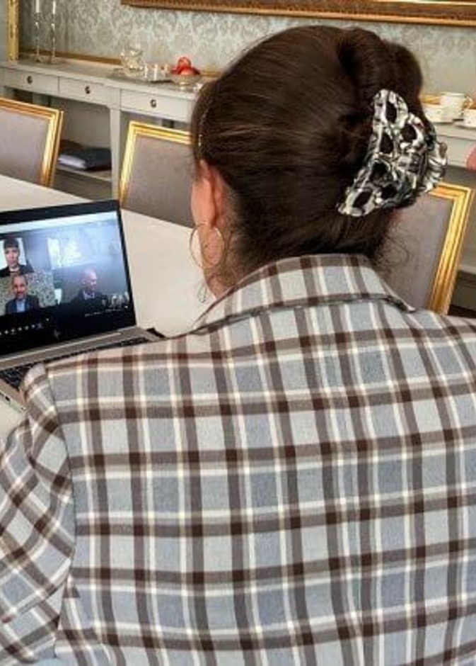 الأميرة فيكتوريا في اجتماع رقمي مع ممثلي وكالة الابتكار السويدية