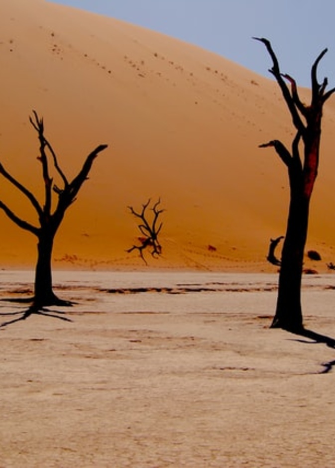  مشهد من منتزهات ناميبيا - Marcelo Novais