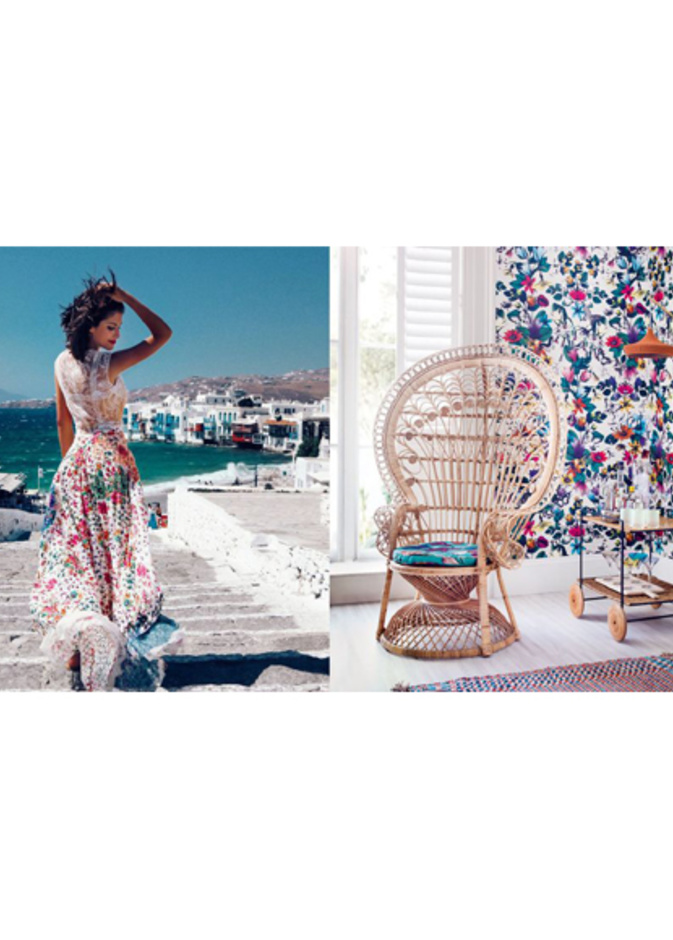 نور عريضة بالمزهر المشرق الذي يغني ديكور المنزل ويفيض فيه حيوية وطاقة