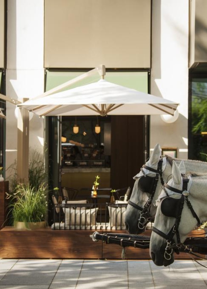 فنادق أنيقة في فيينا بعد أن سمحت النمسا بحرية السفر