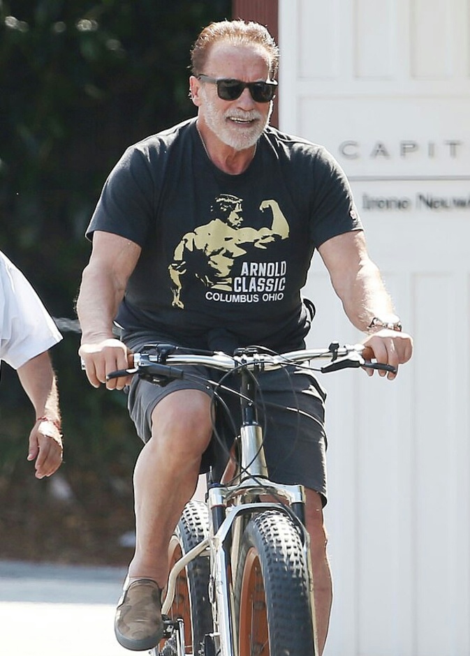 أرنولد شوارزينجر 