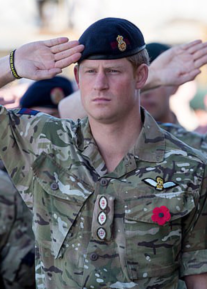 الأمير هاري يدعم خطط افتتاح متحف بطولات قوات المارينز الملكية