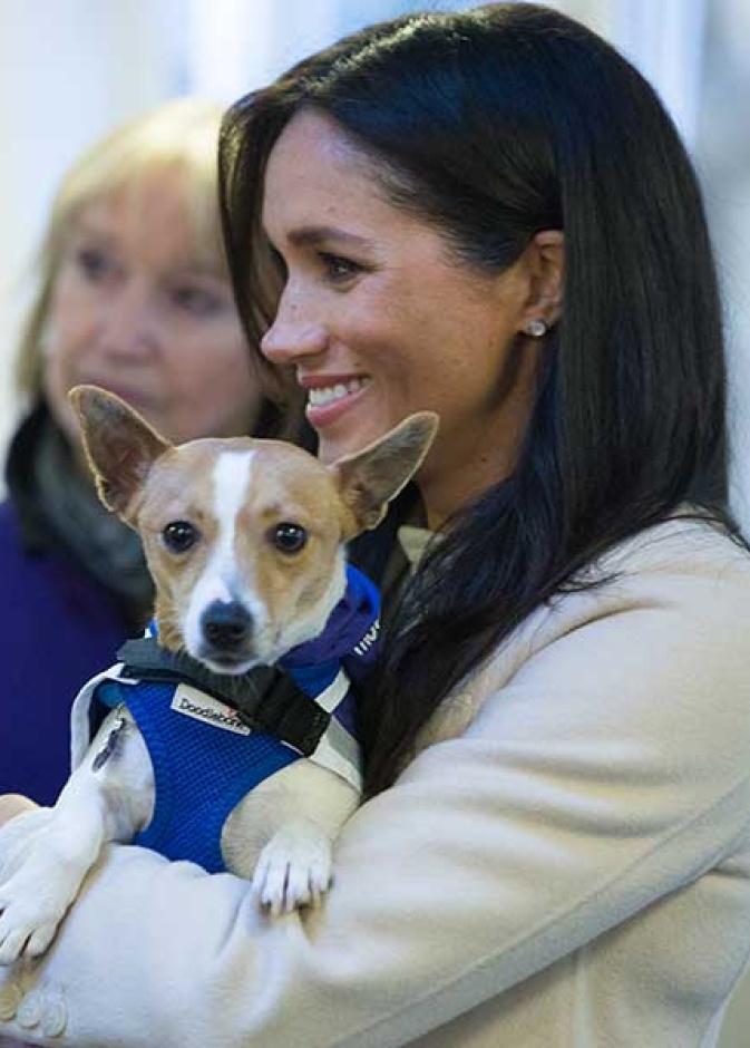 ميغان ماركل