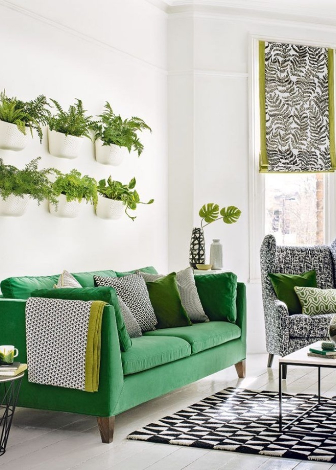  أحواض نباتات تعطي ديكور غرفة المعيشة طابع ريفي