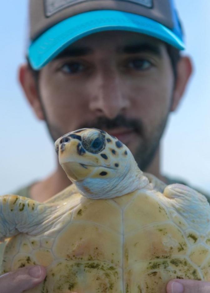 فزاع يحتفي بالسلاحف البحرية في يومها العالمي 