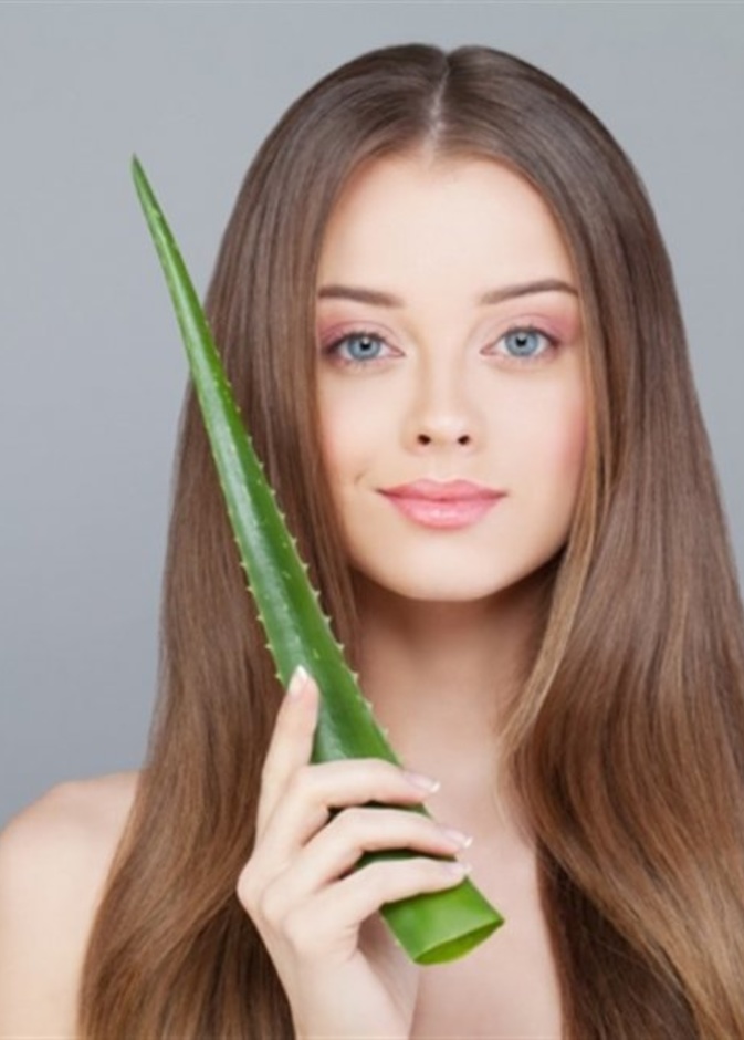 يساعد الألوفيرا على حل مشاكل الشعر وفروة الرأس