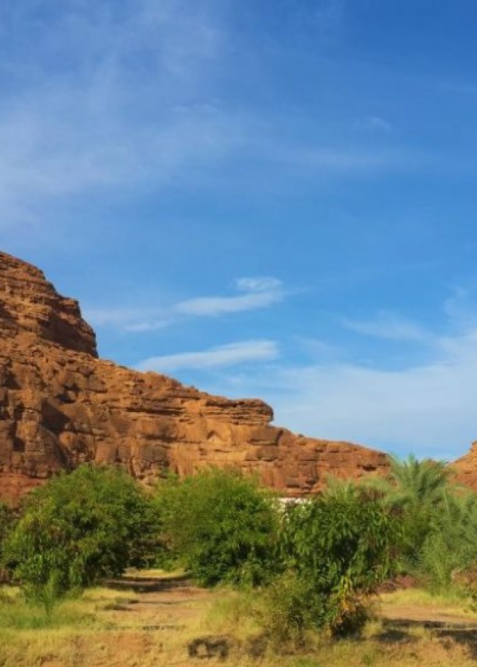 الطبيعة بين صخور العلا بواسطة Konevi