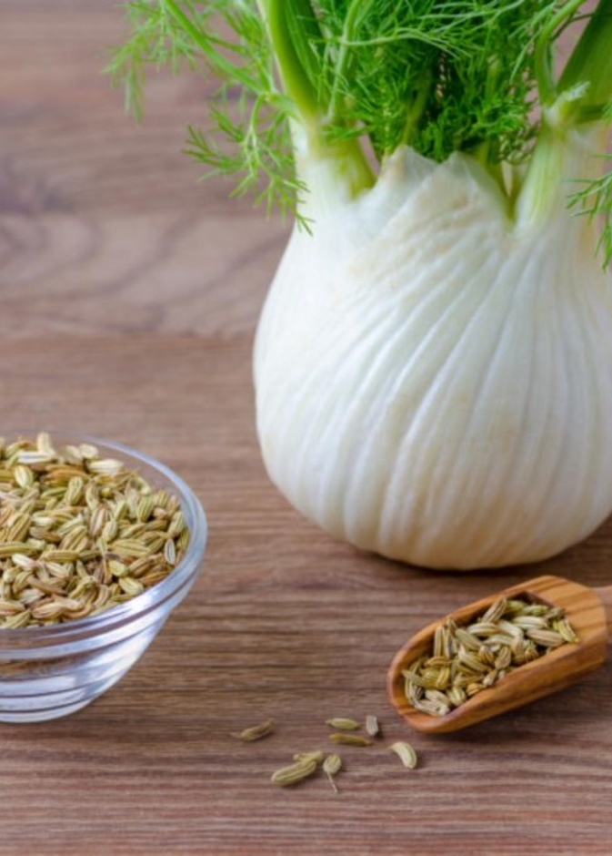  فوائد الشمر الصحية