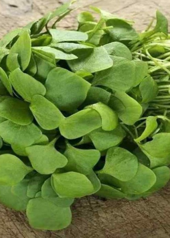 فوائد البقلة الصحية