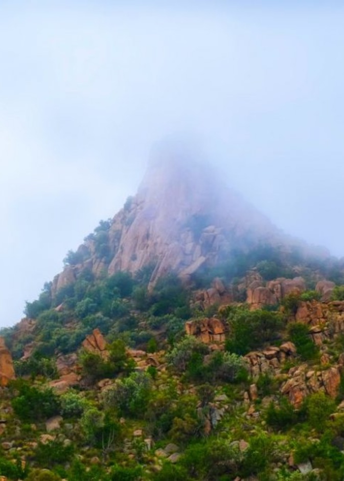 جبال الطائف الساحرة 