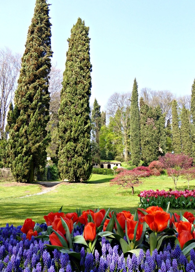 باركو جياردينو سيجورتا Parco Giardino Sigurtà، فينيتو بواسطة Alessio Lin