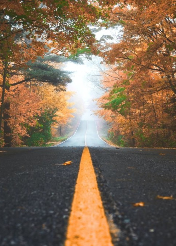 اتخذ الاجراءات كي تكون رحلتك بالسيارة ممتعة وآمنة - Patrick Tomasso