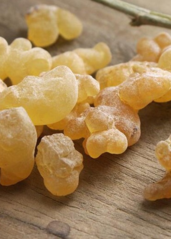 فوائد لبان الذكر الصحية