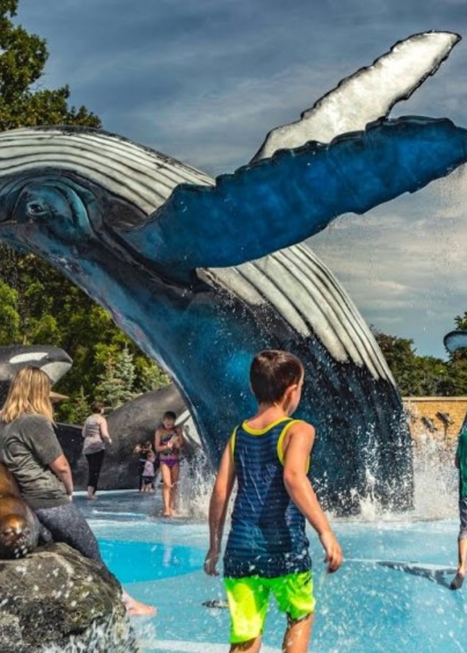 أكواريوم هنري دورلي Henry Doorly Zoo، أوماها، نبراسكا بواسطة Fletcher Pride