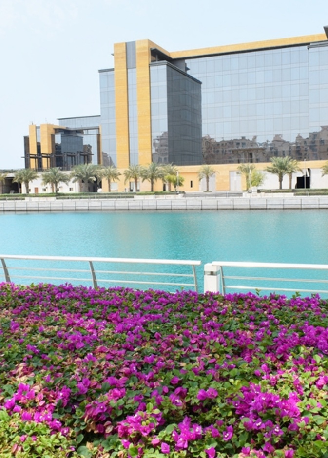  مدينة الملك عبدالله الاقتصادية 