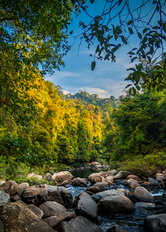 حديقة كوه سوك الوطنية Koh Sok National Park، تايلاند بواسطة Brienna Scott
