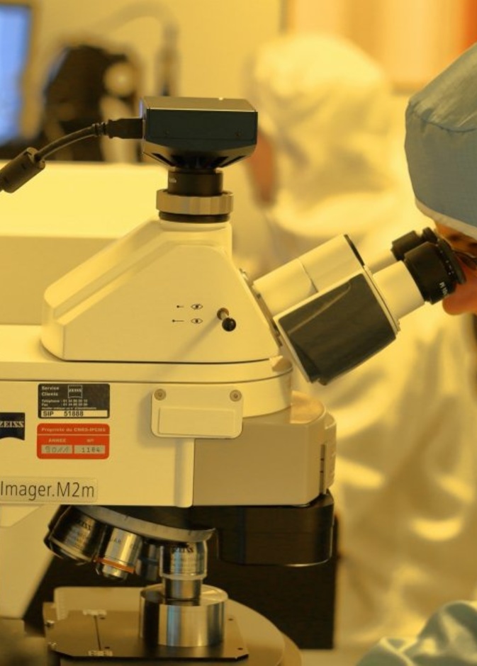  تطورات لقاح كورونا في الامارات والعالم