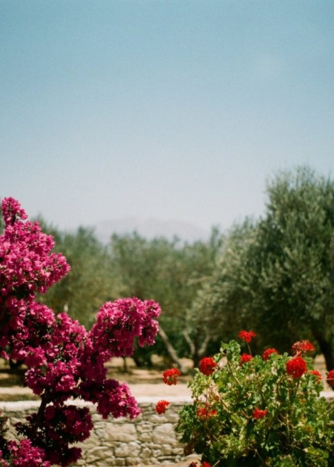 اكتشف انشطة مميزة في كريت - Paul Smith