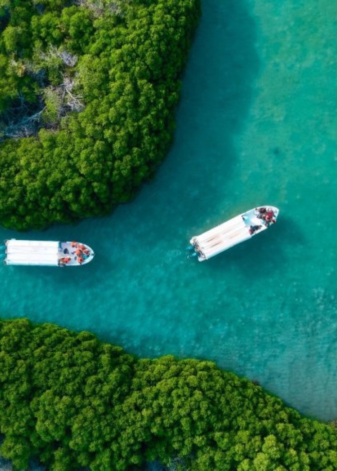 طبيعة خلابة في جزر فرسان - الصورة بواسطة المصور الفوتوغرافي خالد زاروق