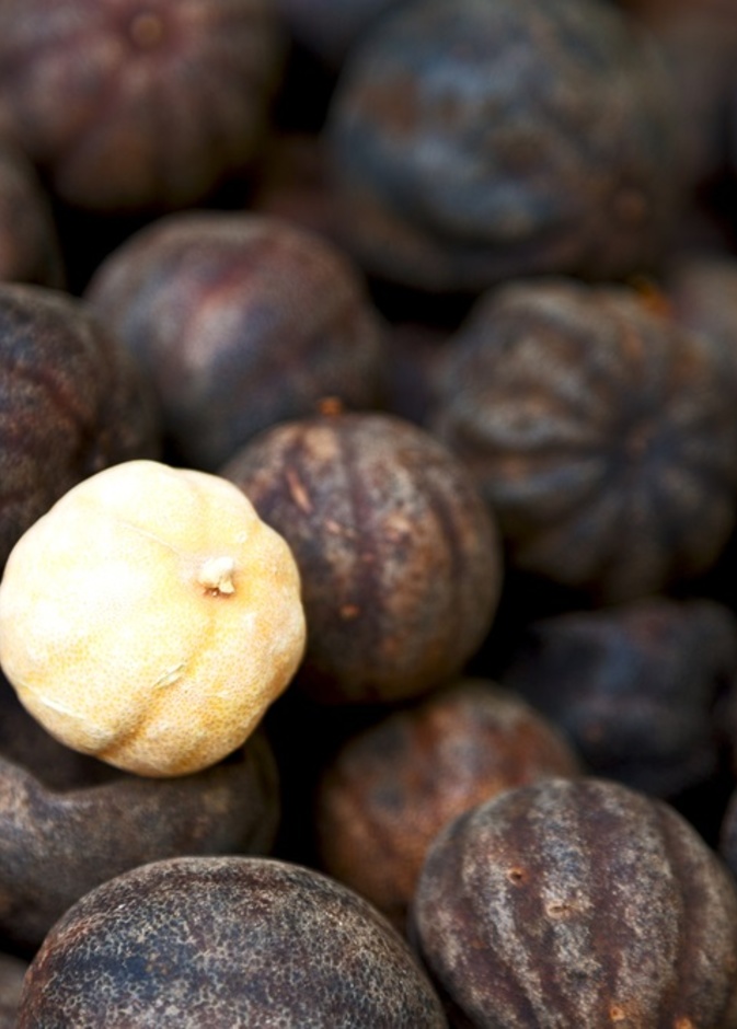 فوائد الليمون الاسود اللومي للجسم