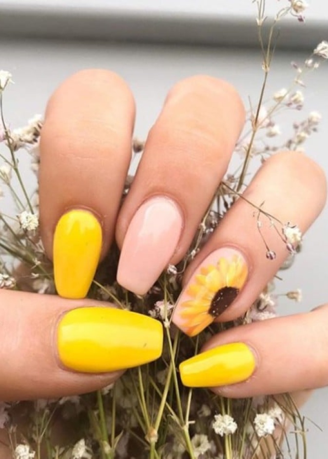 زهرة دوار الشمس أحدث صيحات صيف 2020