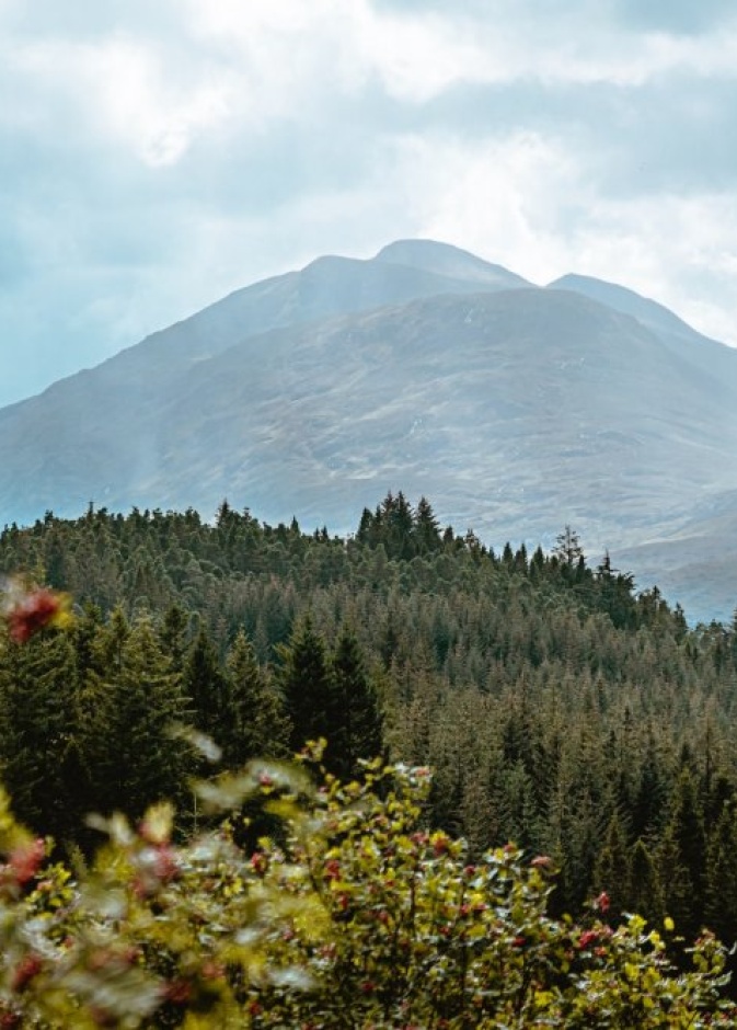 المرتفعات الاسكتلندية - Dan Smedley