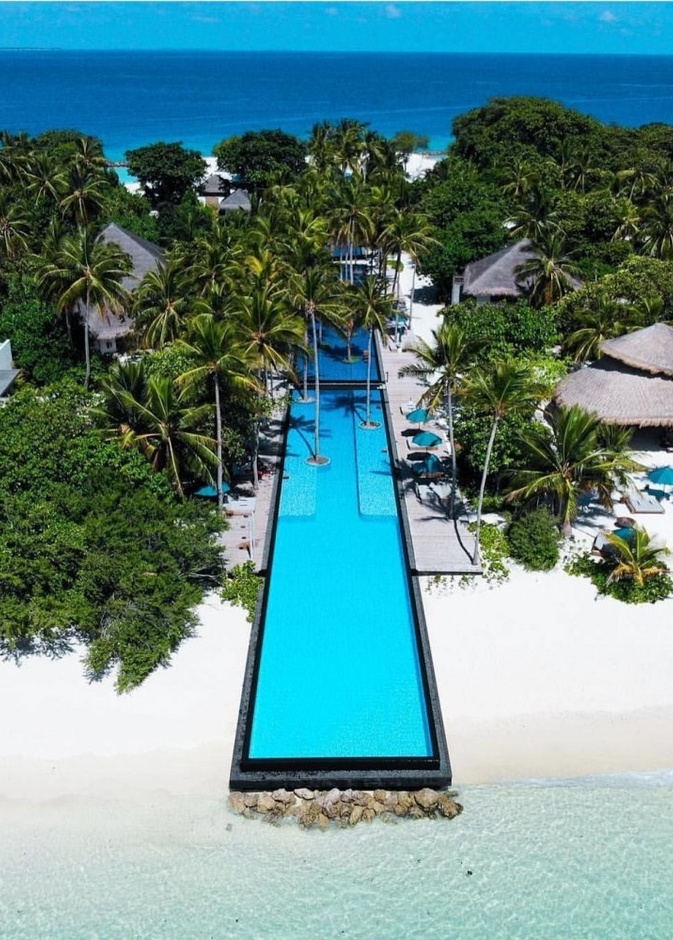  حوض السباحه الخاص بالمنتجع فيرمونت مالديفز