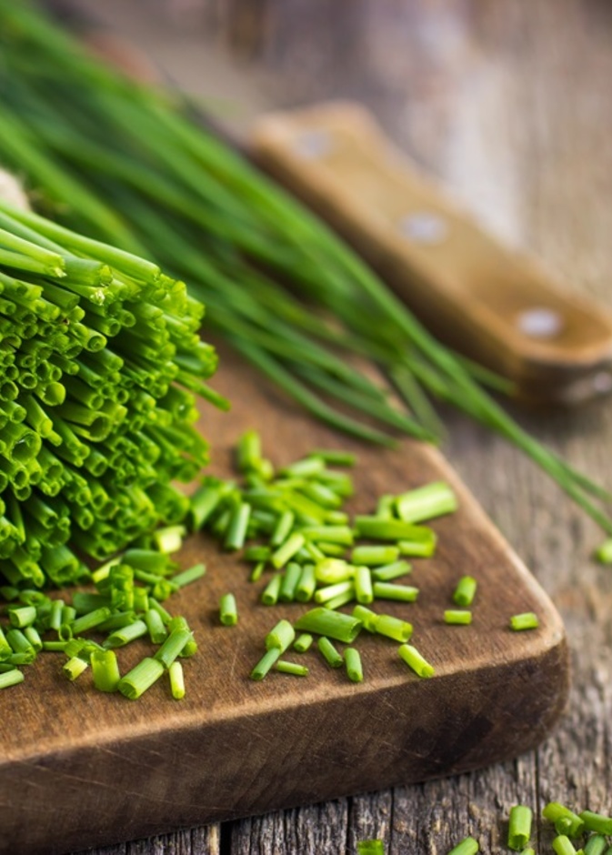 فوائد الثوم المعمر الصحية