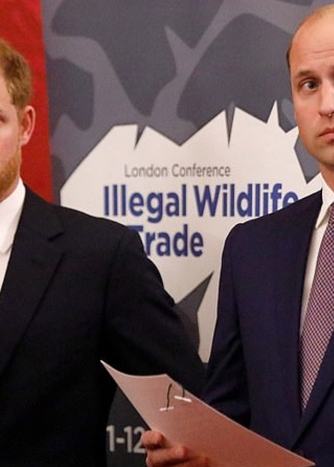 هاري ووليام