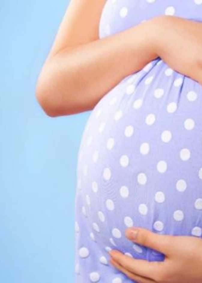 طريقة استخدام الخرشوف للحامل