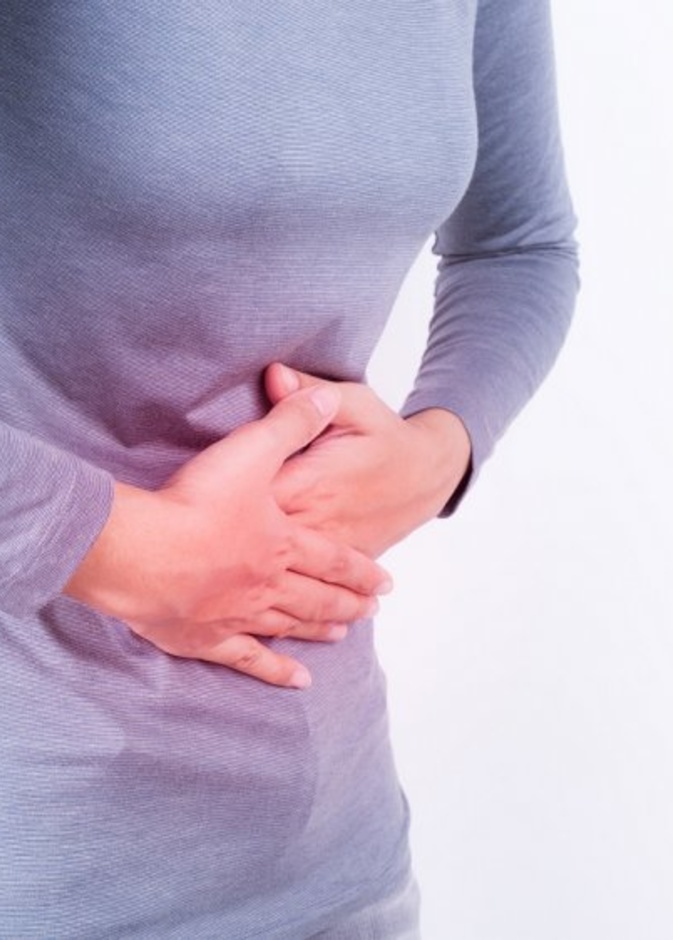 نبات الشيبة يعالج أعراض مرض الملاريا