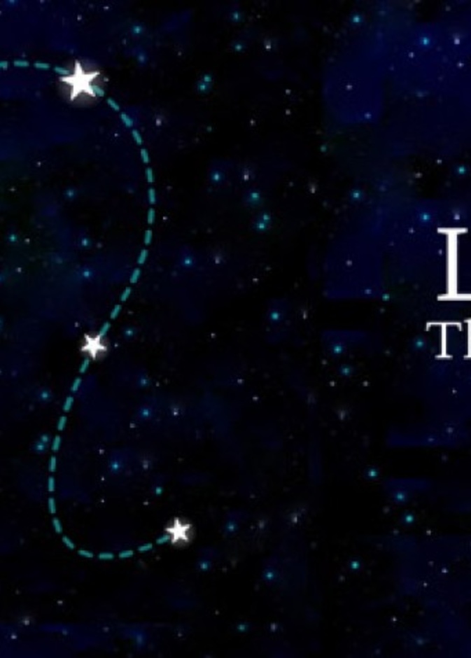 يفضّل رجل برج الأسد ألوان الأرجواني والأحمر والذهبي