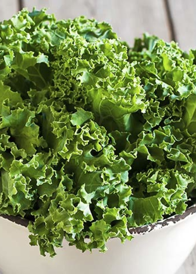 فوائد نبات الكالي الصحية