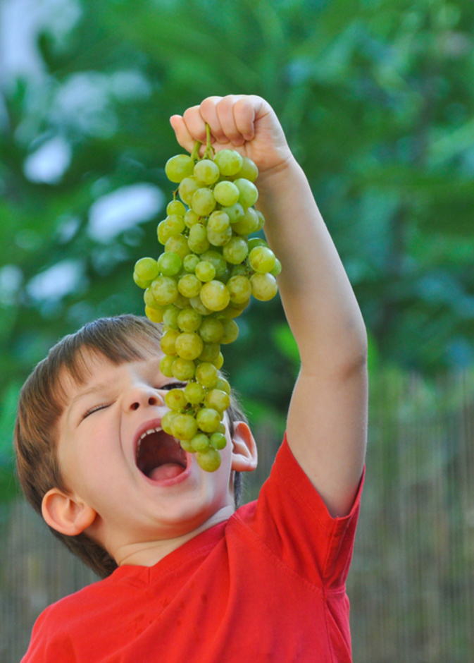 ما هي فوائد العنب الاخضر للاطفال