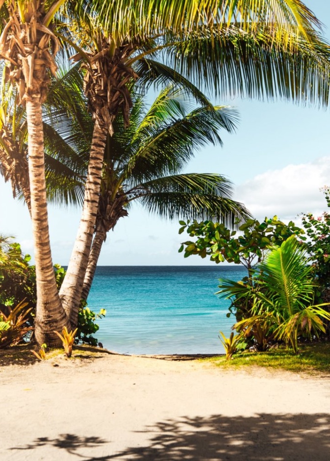  هاواي Hawaii بواسطة Matthew Brodeur