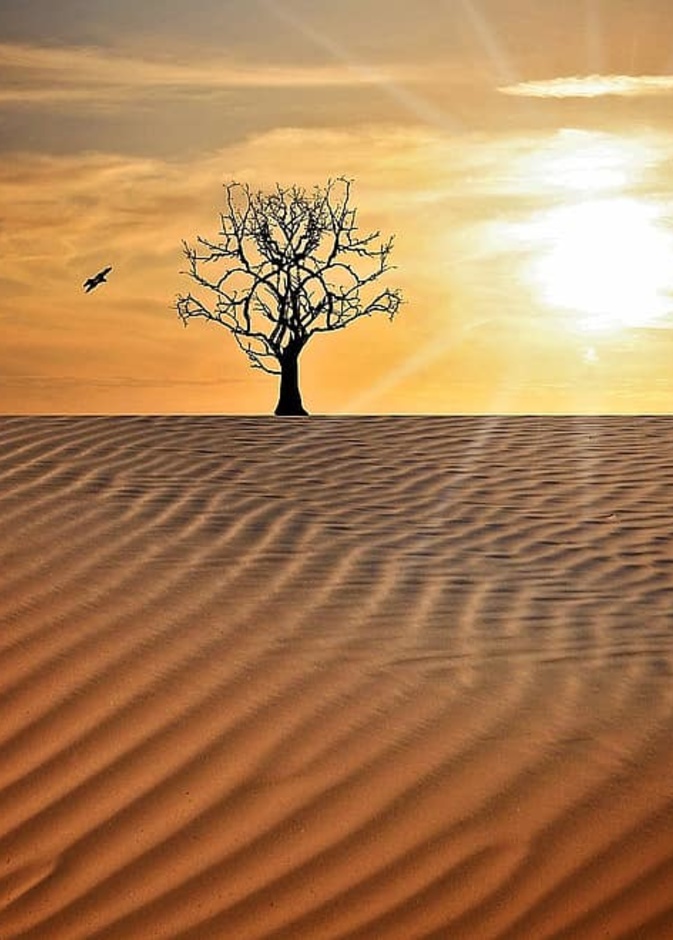  أهمية ارتداء الكمامة أثناء الخروج للوقاية من كورونا