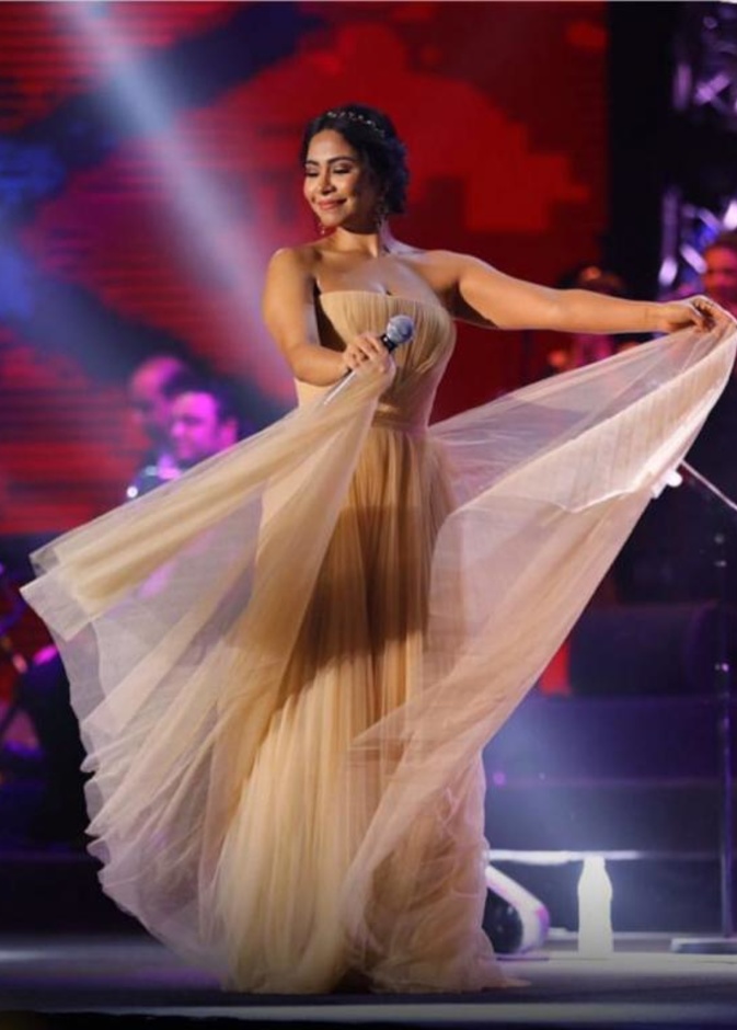  شيرين عبد الوهاب بفستان من نيكولا جبران