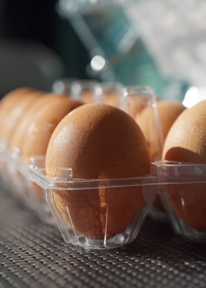 هيئة الغذاء والدواء السعودية