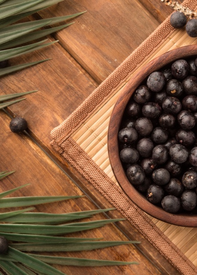 علاج فيروس كورونا باستخدام توت الأساي