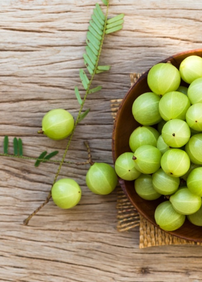 فوائد عنب الثعلب الصحية والجمالية