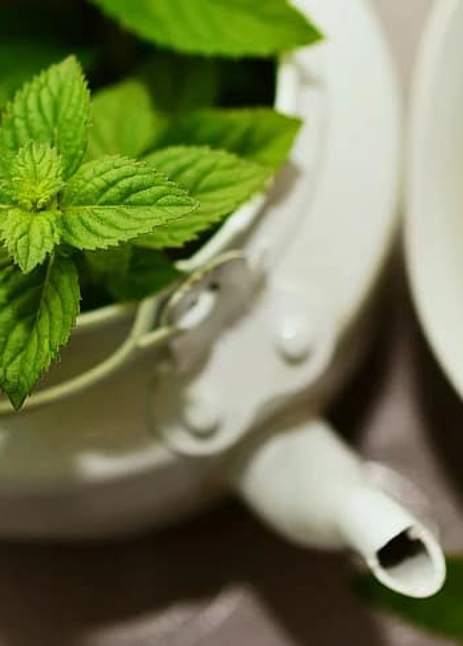 هل الأعشاب تقي أو تقضي على فيروس كورونا المستجد؟