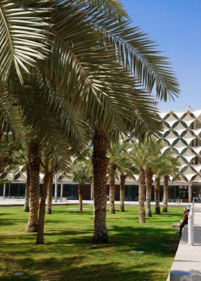  حديقة مكتبة الملك فهد بالرياض