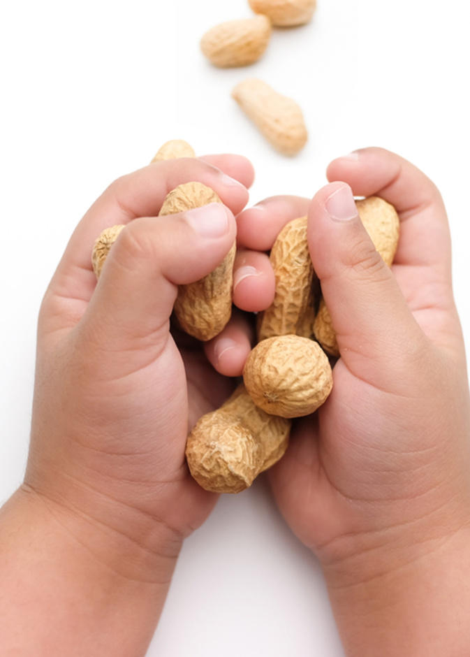 فوائد الفول السوداني للاطفال الرضع