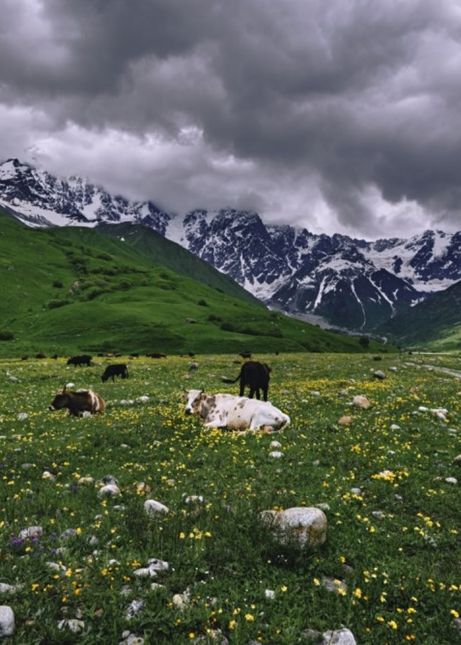 أوشغولي Ushguli-Hikersbay Hikersbay